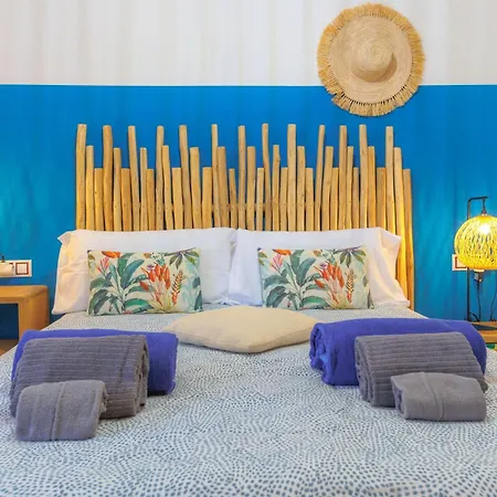 公寓 Alma Ventura House -