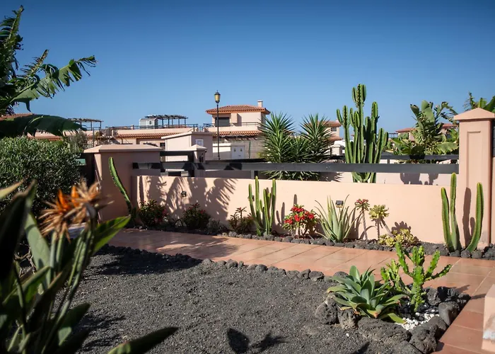 Alma Ventura House - *